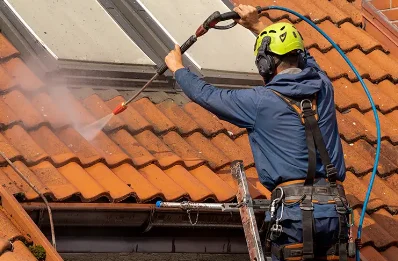 Démoussage et hydrofuge de toiture à Pellafol